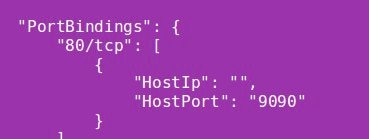 port_bindings_of_container